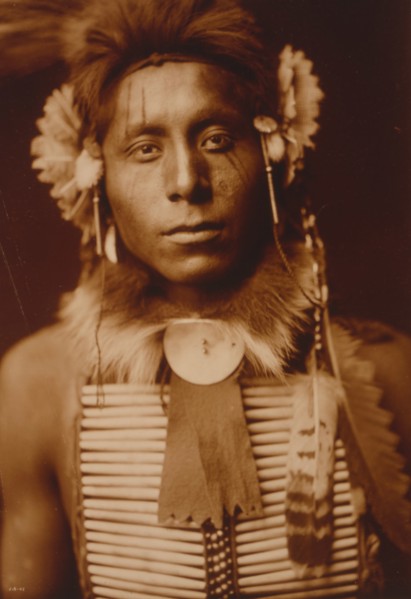 Sitting Eagle 1905