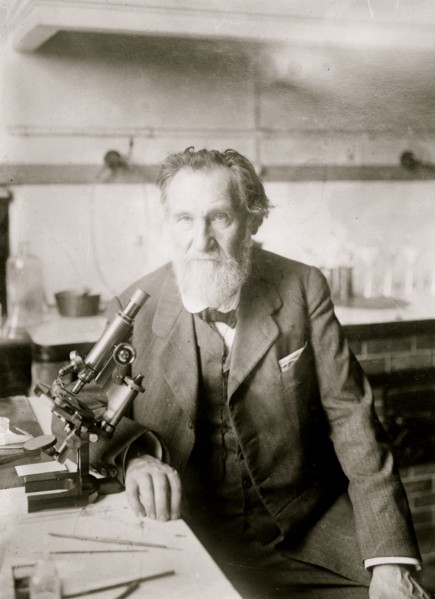 Ilya Metchinkoff nown