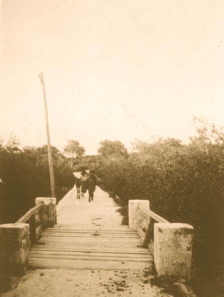 Main road, New Bight, Cat Island 1935