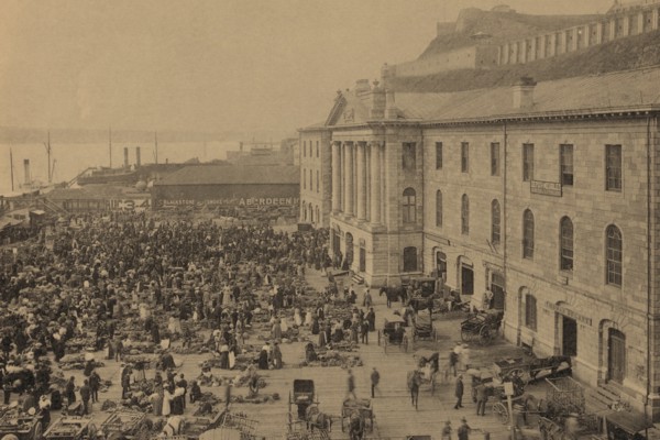 Champlain Market = Marché Champlain 1899