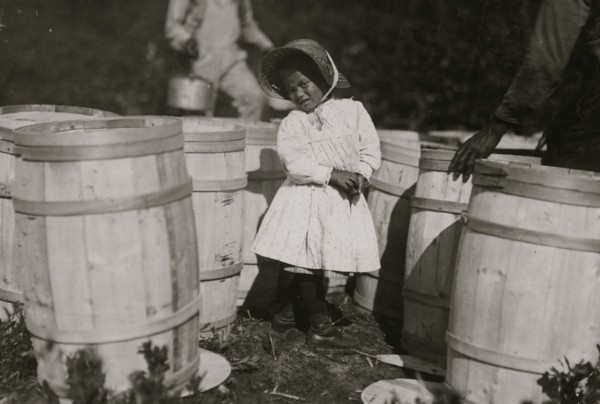 Mary Christmas, nearly 4 years old. Picks cranberries sometimes. She is now picking up berries spilled at the barrels by Grandfather.  1911