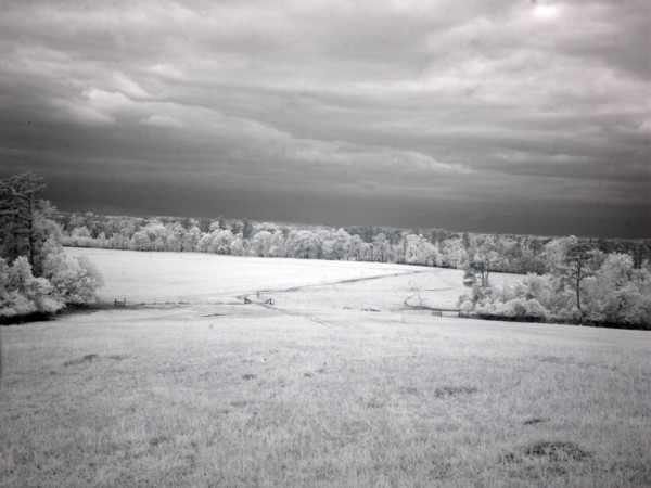Meadowbank Farm 2010