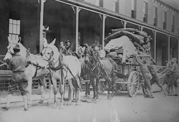 Mule team of 12th Infantry pulling loaded wagon on hike to Pine Plains 1908