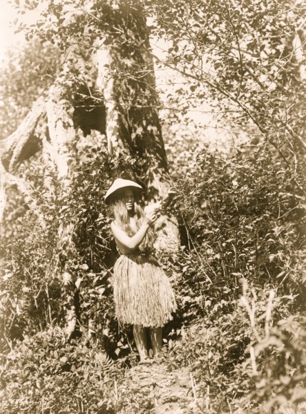 Quinault berry picker 1913