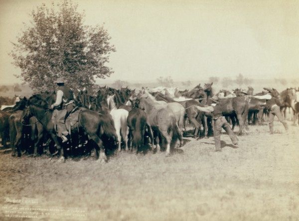 Roping and changing scene at Camp on round up on Cheyenne River 1890