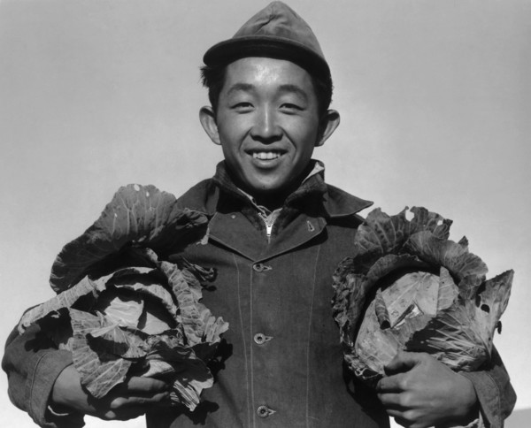 Richard Kobayashi, farmer with cabbages 1943