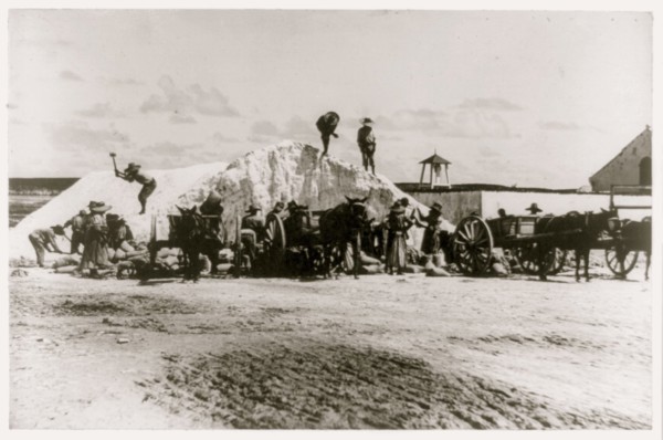 Salt mining, Turks and Caicos Islands, Jamaica 1910