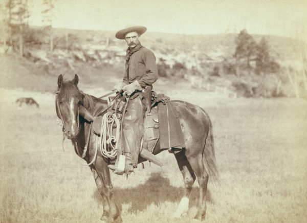 Cow Boy  1890