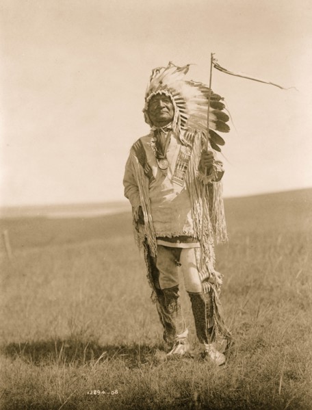 Sitting Bear 1908