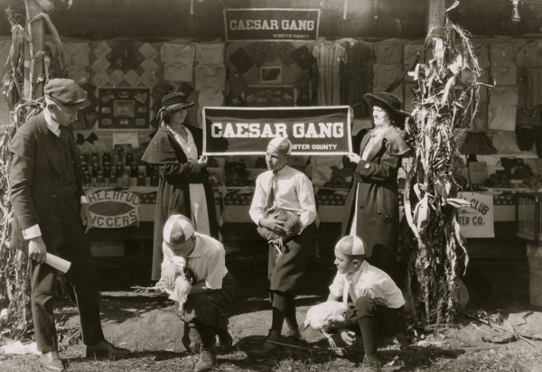 Some of the "Caesar Gang" boys demonstrating how to cull chickens to improve quality and quantity of product. Under direction of J. A. Wolfram County Agent, Webster Co. W. Va. State 4 H Fair, Charlest...