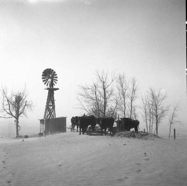 Stock watering hole almost completely covered by shifting topsoil.  1936