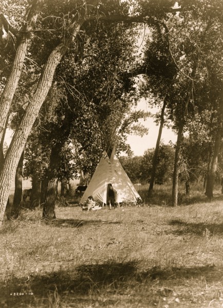 Camp in the cottonwoods--Cheyenne 1910