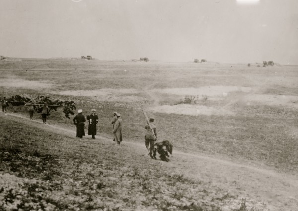 German Artillery near Verdun 1916