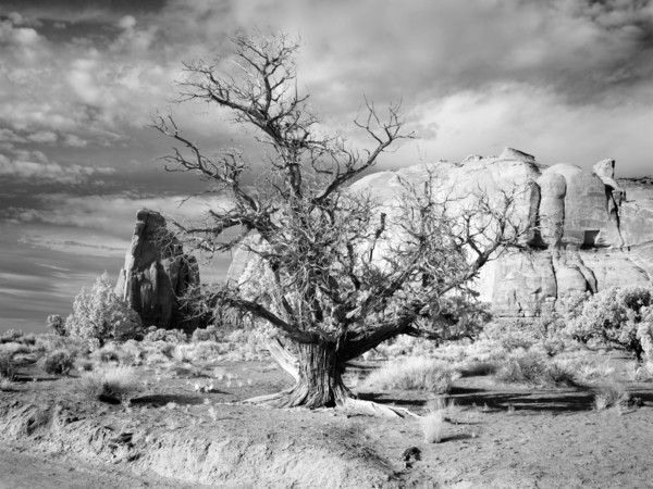 Monument Valley, Arizona 2007