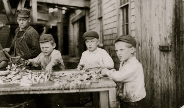 Three young cutters who work in Seacoast Canning Co.,  1911