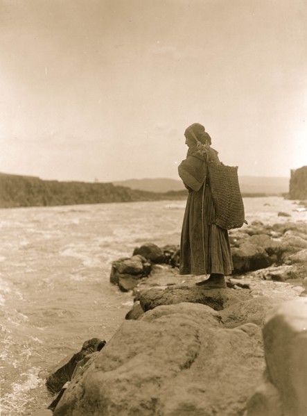 The Fish Carrier 1910