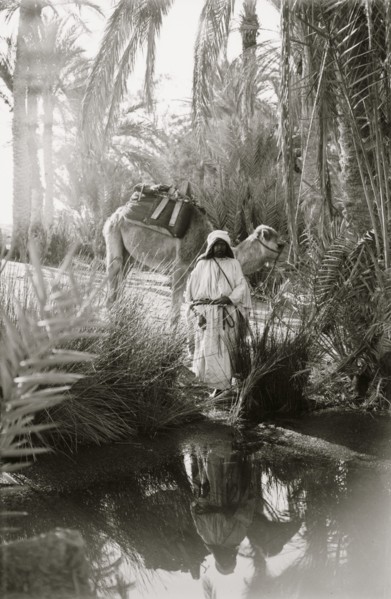 To Sinai via the desert. Scene at the Springs of Moses; Marah 1910