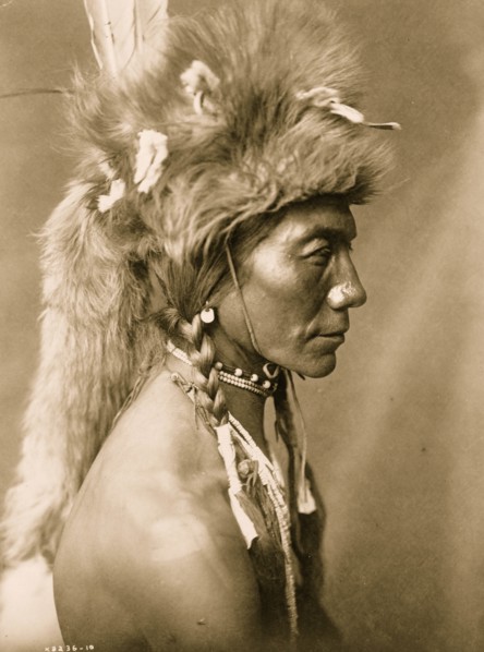 Yellow Kidney 1910
