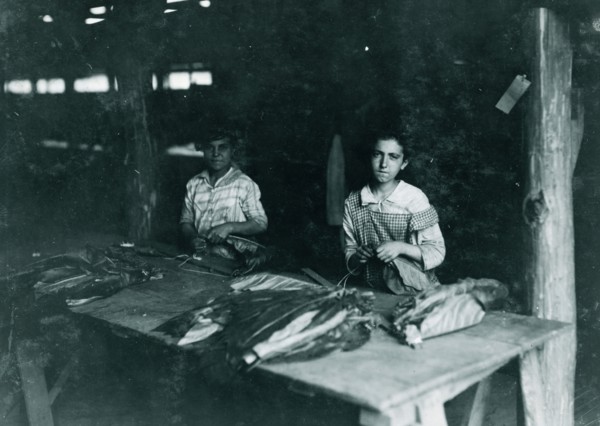 Young girls of 11, 12, 13 yrs., string in shed of Goodrich Tobacco Farm, near Gildersleeve. 1917