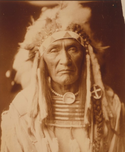 Young Hairy Wolf 1904