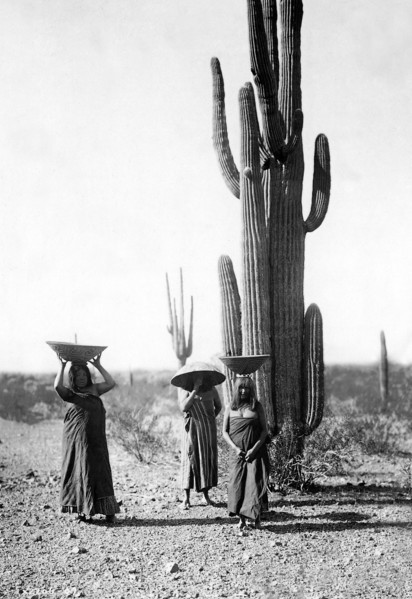 Saguaro Gatherers