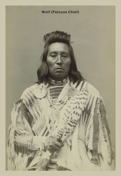 Wolf, Palouse Chief