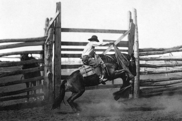 Bronco Busting 1904