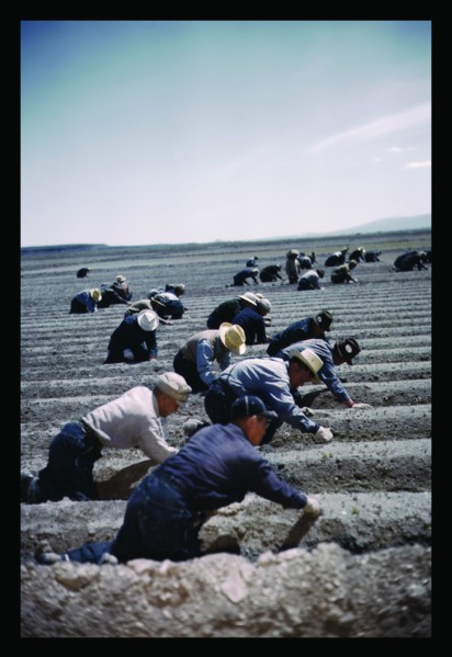 Japanese-American Camp, War Emergency Evacuation 1942