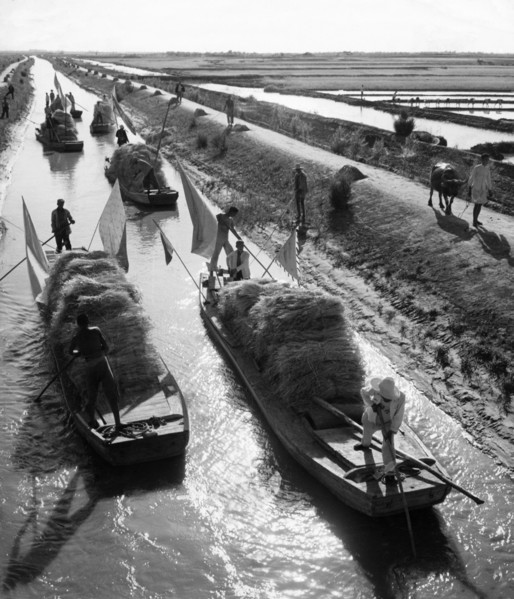 Irrigation canals provide transportation and water to wheat fields near the north bank of the yellow river, wheat acreages have reportedly been greatly enlarged in this area by the reduction of the so...