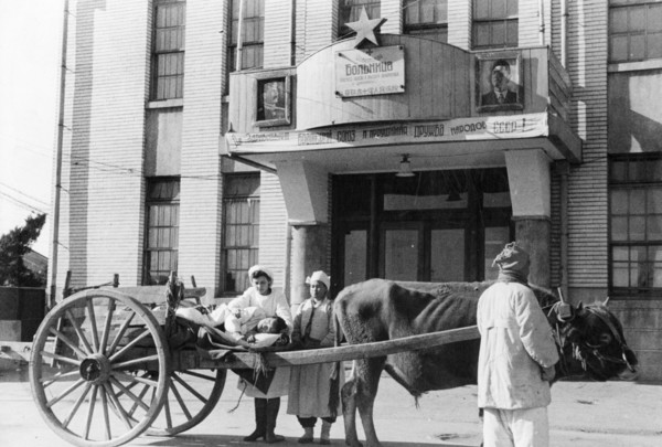 A patient arriving by oxcart at a soviet hospital in chinnampo, north korea, may 1947.