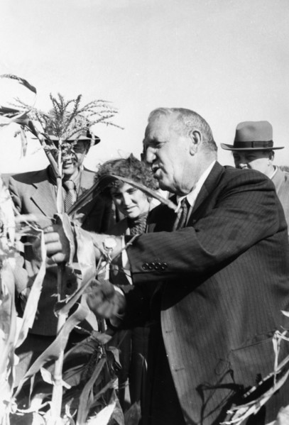 Rosewell garst, head of garst & thomas, an american firm that grows hybrid corn seed, inspecting hybrid corn in a field of the moldavian plant breeding station which supplies corn seed to the republic...