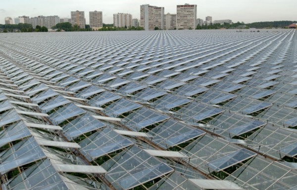 The roofs of 'moskovsky' agricultural complex greenhouses, moscow region, russia, june 2006.