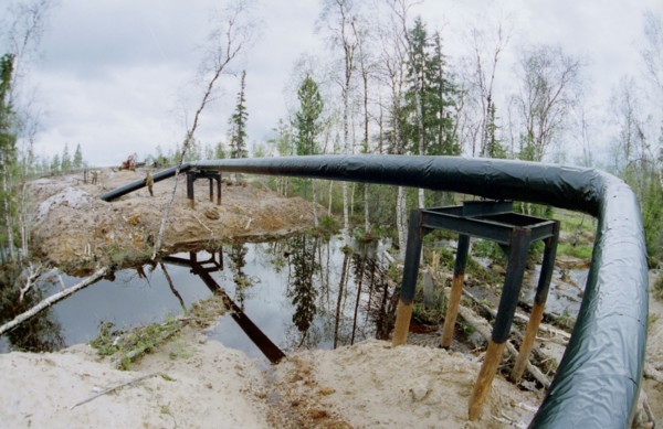 The tyumen area, 1995, the sugmut deposit located among bogs between of nadym and purya, is one of the largest on stocks of oil in western siberia, in a picture: an oil pipeline from the sugmut deposi...