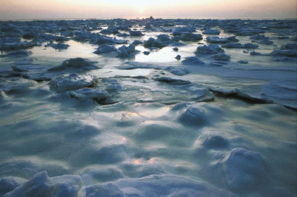 Ice flows on the white sea at sunset, russia.