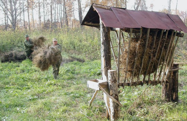 Waterfowl hunting in the southern urals, chelyabinsk region, russia.