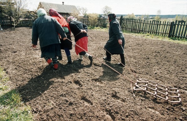 Nizhny novgorod region 6/2000, eldery women cultivating their personal plots without horse or tractor.