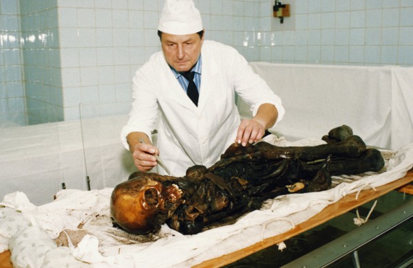 A scientist examining a 2,500 year old tattooed female mummy of a scythian princess (known as 'black beauty') found frozen in the permafrost of the ukok plateau, pasryk region, siberia, russia, 1994.