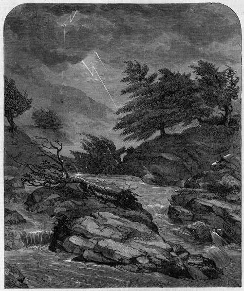 Religion The Holy Bible. The voice of the LORD breaks the cedars (XXXVIII 5)