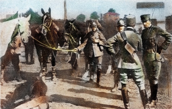 World War One 1915 1918 Italy at war 1915 Isonzo offensive