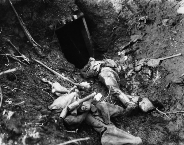 Western Front, Germany - France, 1916.