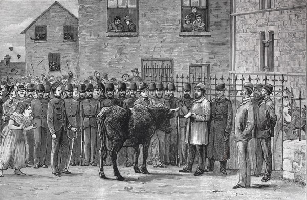 The Land Agitation In Ireland: At Sligo Court-House