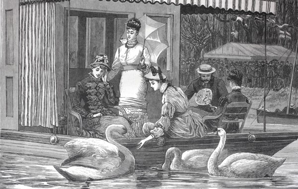 Family Feeding The Swans In The Park