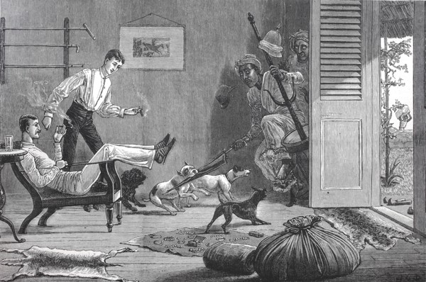 Dogs Attack Burglars
