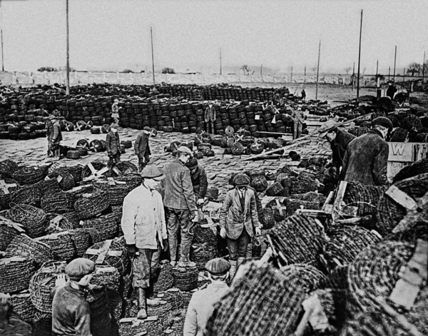 Magic lantern slide  WW1