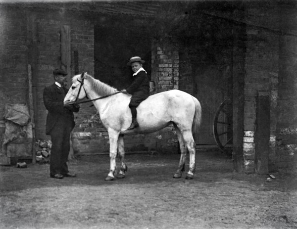 Glass Negative circa 1900
