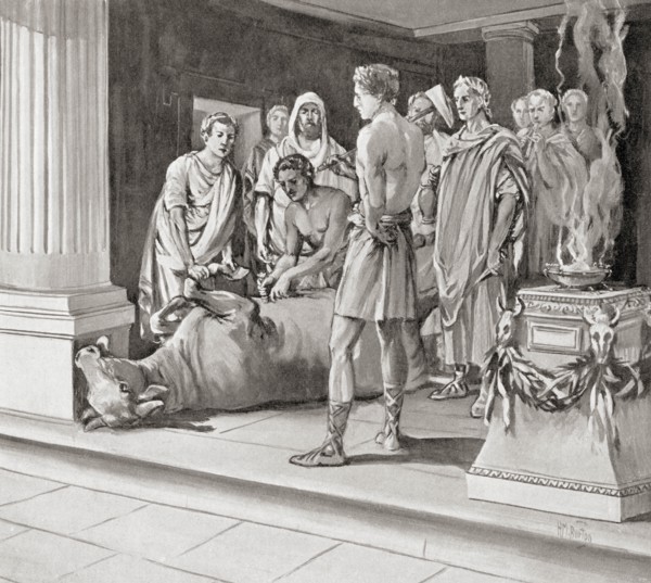Auspices examining sacrifices