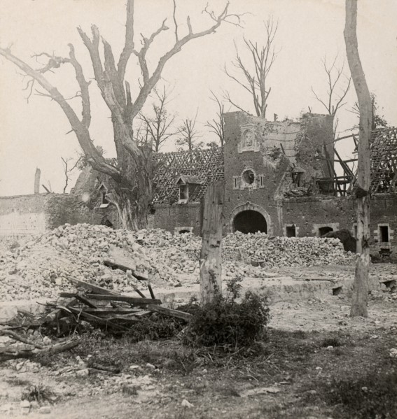 Stereoview WW1