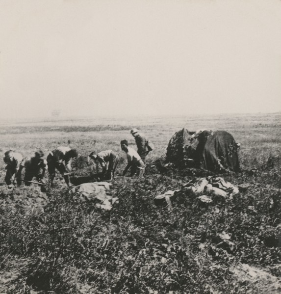 Stereoview WW1
