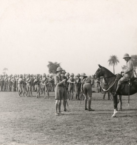Stereoview WW1