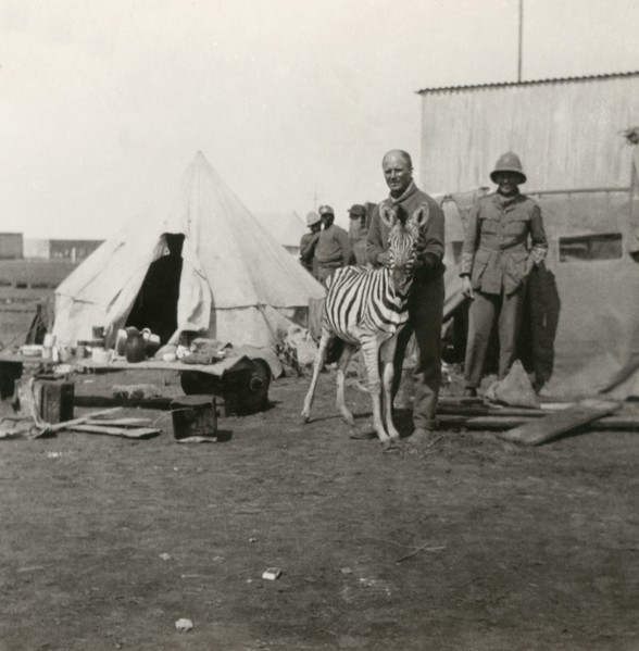 Stereoview WW1
